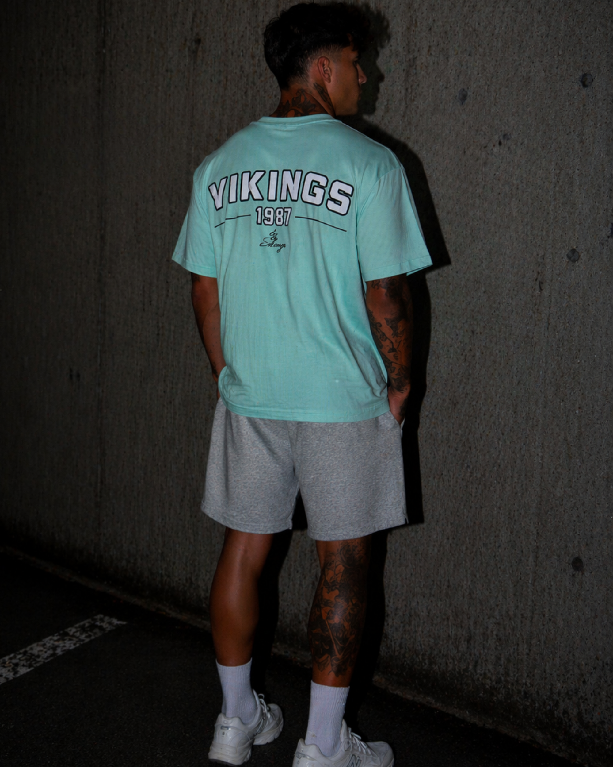 BLUE VIKINGS